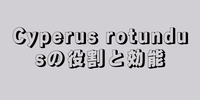 Cyperus rotundusの役割と効能