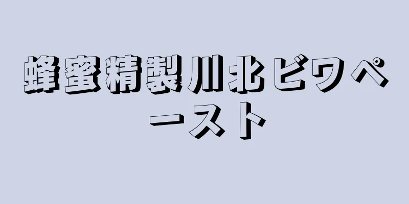 蜂蜜精製川北ビワペースト