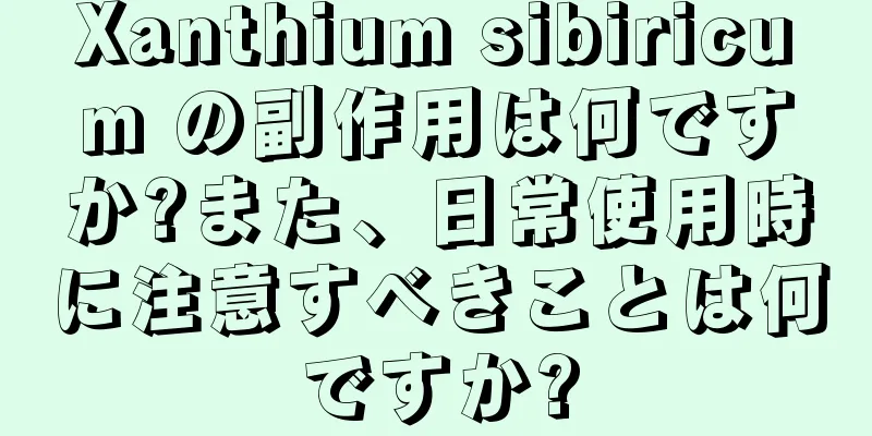 Xanthium sibiricum の副作用は何ですか?また、日常使用時に注意すべきことは何ですか?
