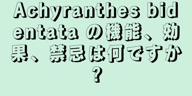 Achyranthes bidentata の機能、効果、禁忌は何ですか?
