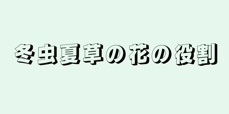冬虫夏草の花の役割